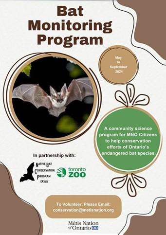 MNO Bat Monitoring Program Request for Volunteers