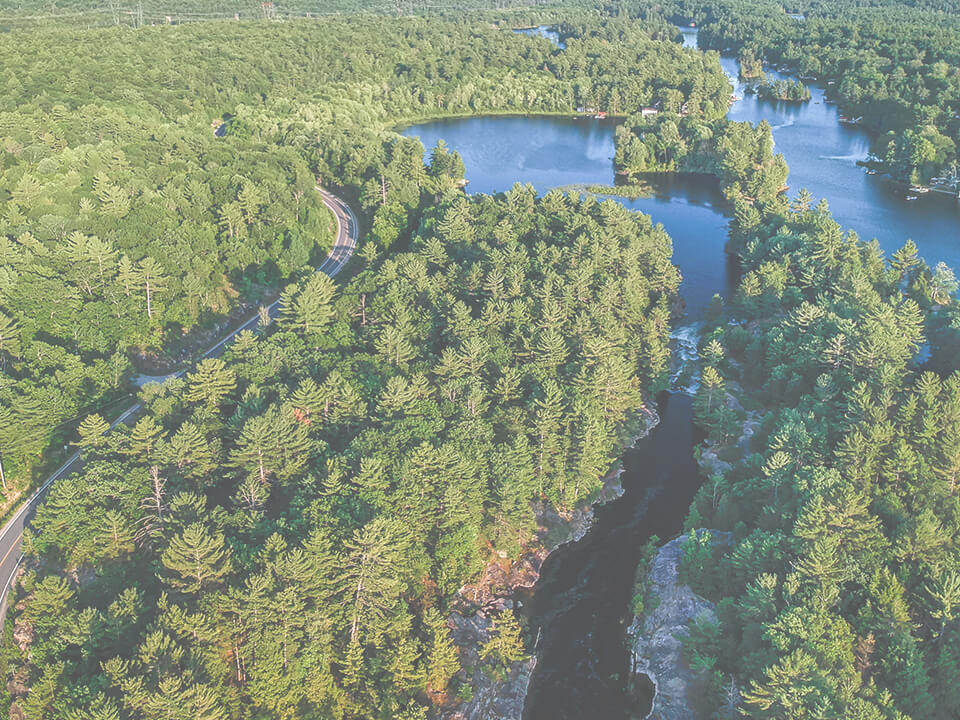 Region 3 Citizens Forestry Open House June 12, 2024!