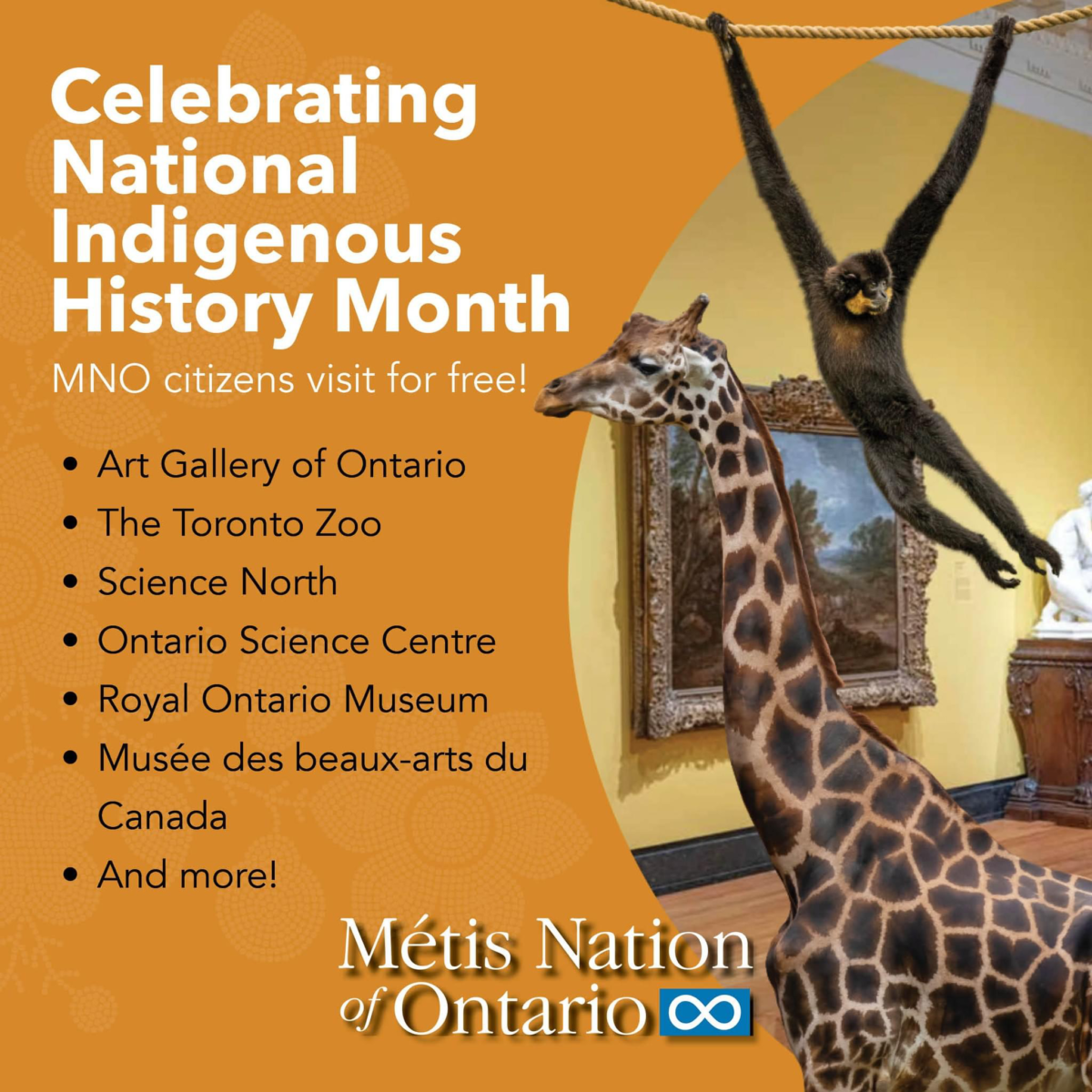 Celebrating National Indigenous History Month